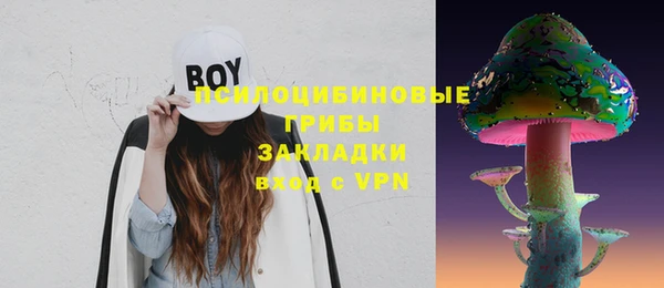 соль курить ск Гусь-Хрустальный