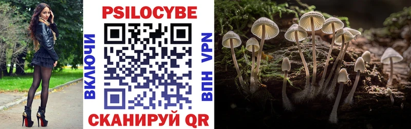 Галлюциногенные грибы Psilocybe  Купить закладки  Кропоткин 